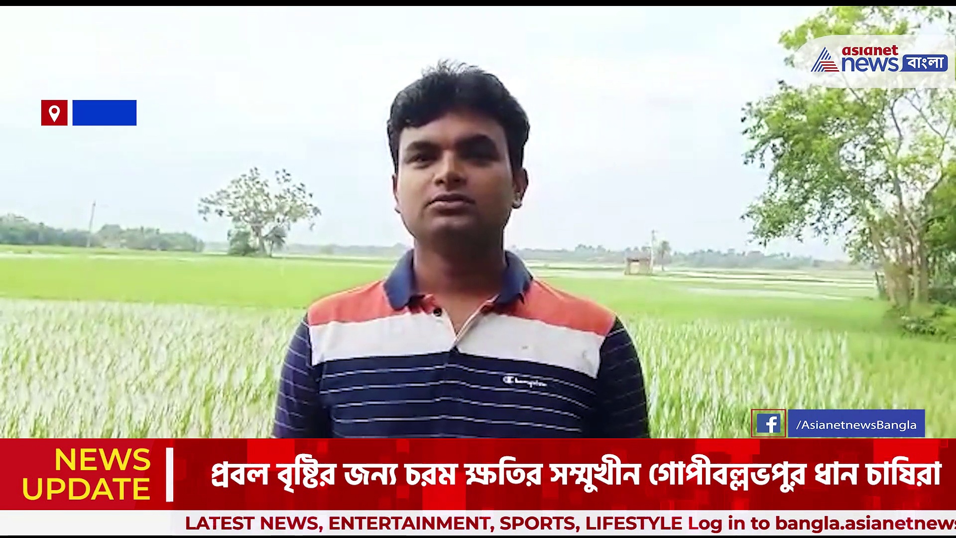 নাগাড়ে বৃষ্টিপাত, বিঘার পর বিঘা কৃষিজমি তলিয়ে গেছে জলের তলায়