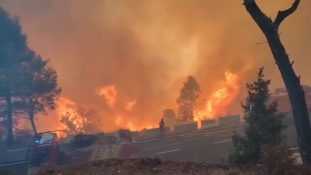 Bejís se enfrenta esta tarde a vientos erráticos que pueden reactivar el fuego