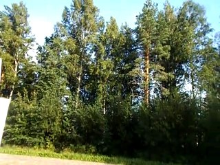 Vilvoittava Loppukesän Tuuli