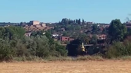 Se reaviva el fuego en una de las islas del Tajo de Toledo