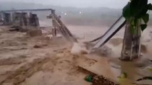 Railway bridge collapses amid heavy rains in Himachal's Kangra | Watch