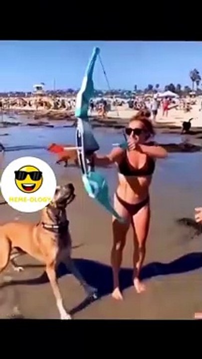 Animals are sometime too much funny. 