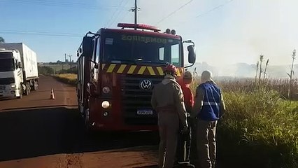 Bombeiros são acionados para apagar incêndio em plantação de milho na PR-180
