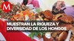 En Cuajimalpa, se realiza la XX edición de la feria del hongo