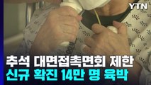 추석연휴 요양병원 접촉 면회 제한...입국 전 검사 폐지 논의 / YTN