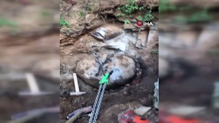 Fındık bahçesinde yakalandılar: 2 kişi birden yapmışlar...