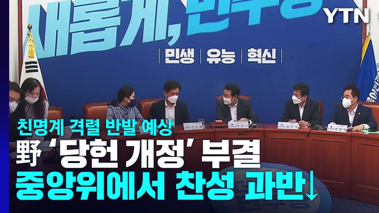 민주당, '권리당원 전원 투표' 당헌 신설안 중앙위 부결 / YTN