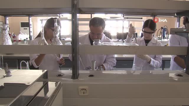 Çevre kirliliğine neden olan deniz marulundan çevre dostu gaz elde edildi