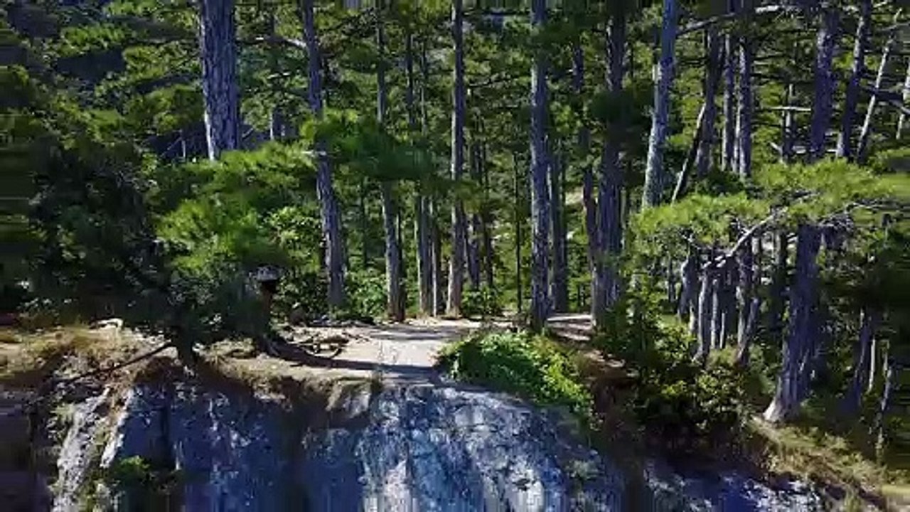 cemera video