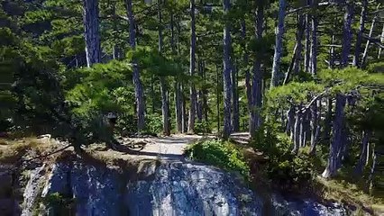 cemera video