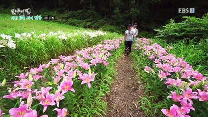 한국기행 - Korea travel_더위 탈출 피서 명당 3부- 나만의 산중 낙원_#002