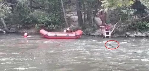 RAFTİNG REHBERİ 17 YAŞINDAKİ EMRE, AKINTIYA KAPILAN KÖPEĞİ KURTARDI