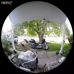 Owner Chasing Puppy Trips Over Flip-Flop