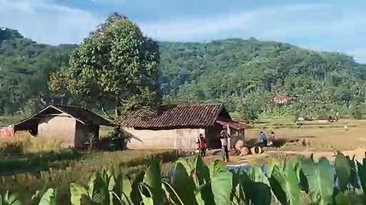 Suasana pedesaan,Cozy countryside, natural beauty