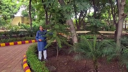 मोक्षधाम की बदली फिजा, सुबह की सैर करने आते हैं लोग