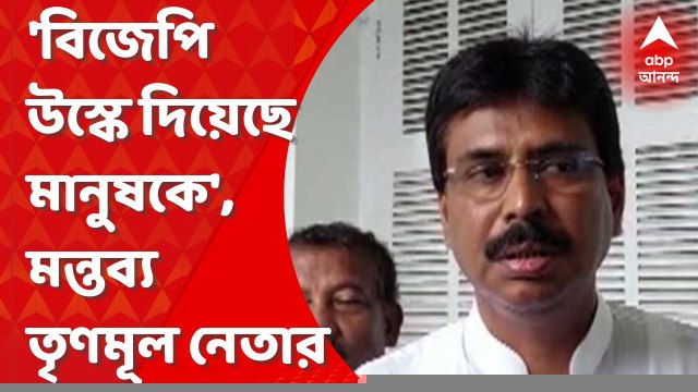 TMC: 'বিজেপি নেতা মানুষকে উত্তেজিত করছিলেন', উপনির্বাচনে অশান্তি নিয়ে মন্তব্য তৃণমূল নেতার