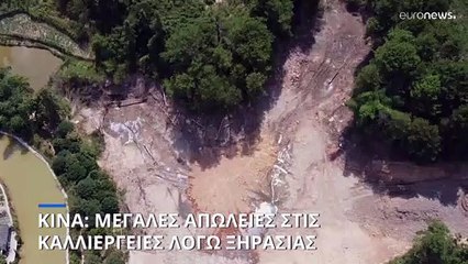 Κίνα: Τεράστιες απώλειες στις καλλιέργειες λόγω ξηρασίας