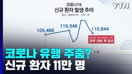 재유행 이후 일요일 첫 감소...하락세 진입 여부 주목 / YTN