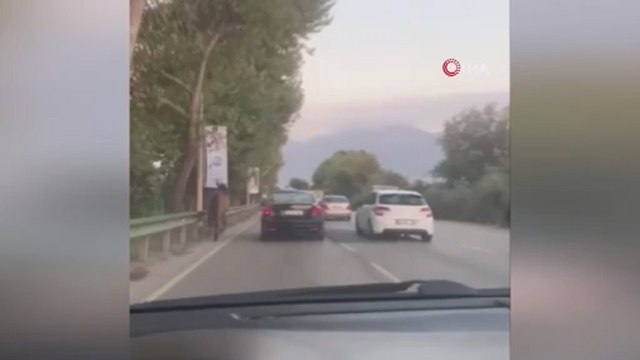 Bursa'nın yollarında başıboş atlar cirit atıyor