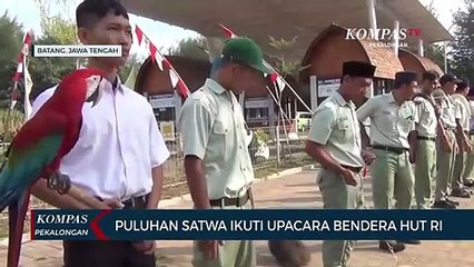 Puluhan Satwa Ikuti Upacara Bendera HUT RI