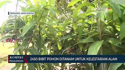 2.450 Bibit Pohon Ditanam Untuk Kelestarian Alam