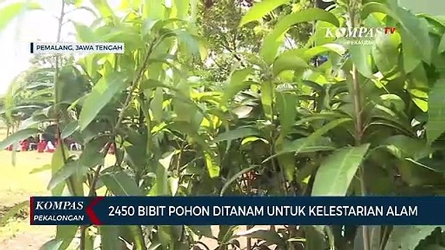 2.450 Bibit Pohon Ditanam Untuk Kelestarian Alam