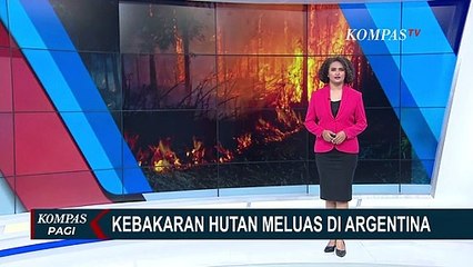 Video herunterladen: Kebakaran Hutan di Argentina Makin Meluas, Api Hanguskan 100.000 Hektar Lahan di Delta Parana