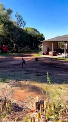 Turning an Oil Drum Into a Rocket