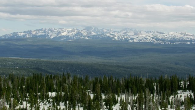 Part of a human foot has been found in one of Yellowstone Park's deepest hot springs