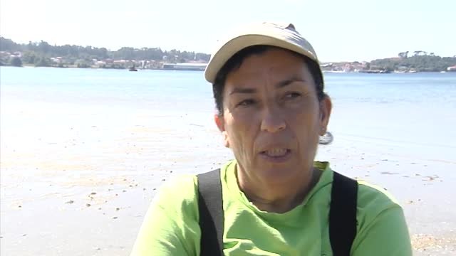 El aumento de la temperatura del agua pone en jaque al sector pesquero y marisquero