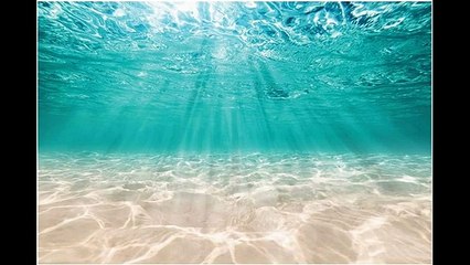 Positive Energy Meditation Music / Pozitif Enerji Meditasyon Müziği