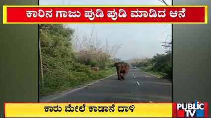 ಗಡಿ ಜಿಲ್ಲೆಯಲ್ಲಿ ಮುಂದುವರಿದ ಆನೆಗಳ ಉಪಟಳ | Elephant | Public TV