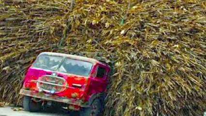 15 Most Talented Drivers In The World