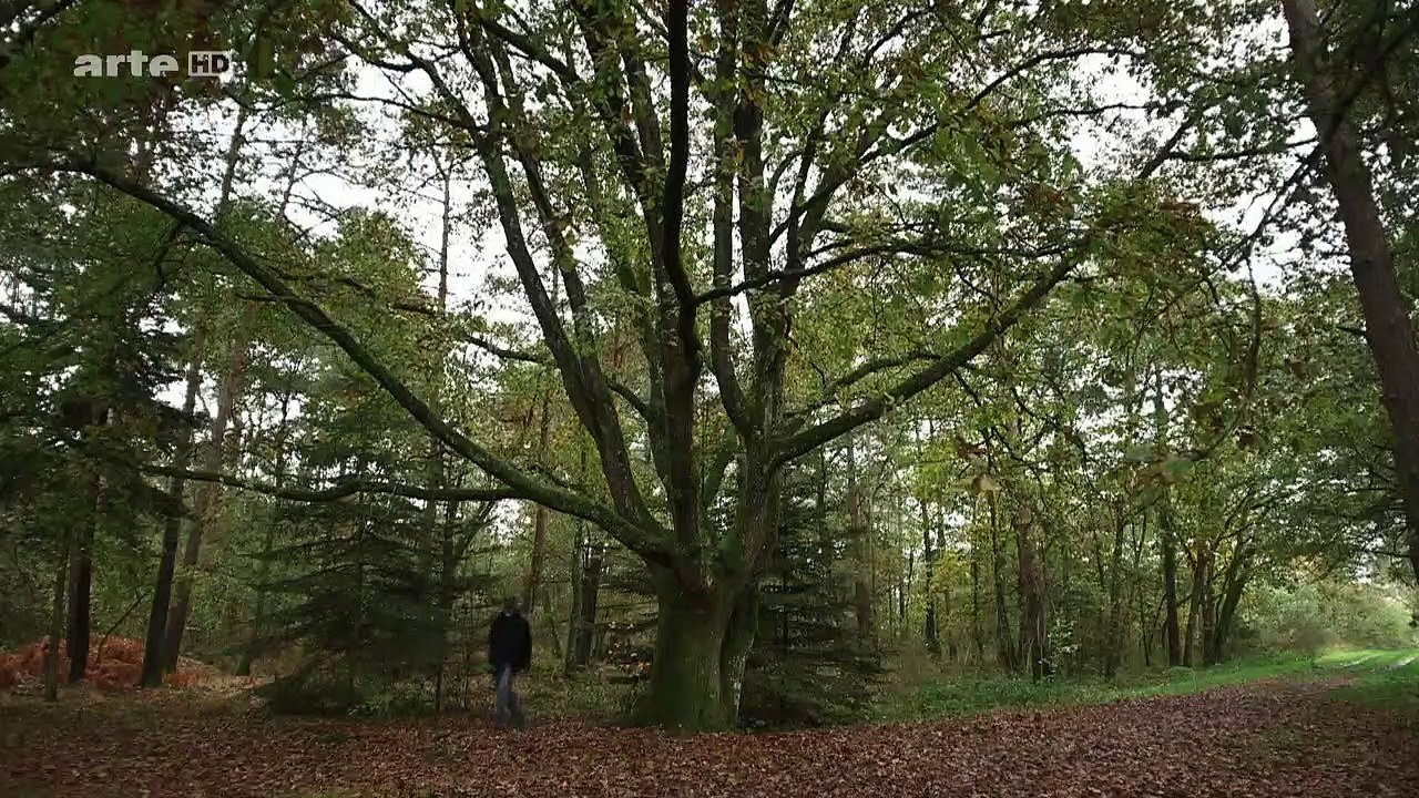 Auf den Spuren der Hobbits Staffel 1 Folge 3 HD Deutsch