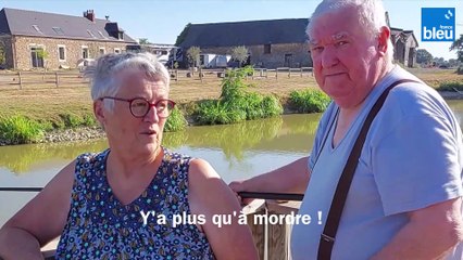 Les logements insolites de la Préhouillère à Bouère