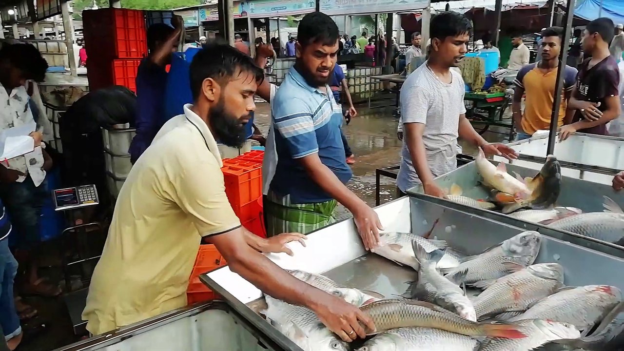 Exclusive South Asian Fish Bazar|| Live fish Sale In Fish Market