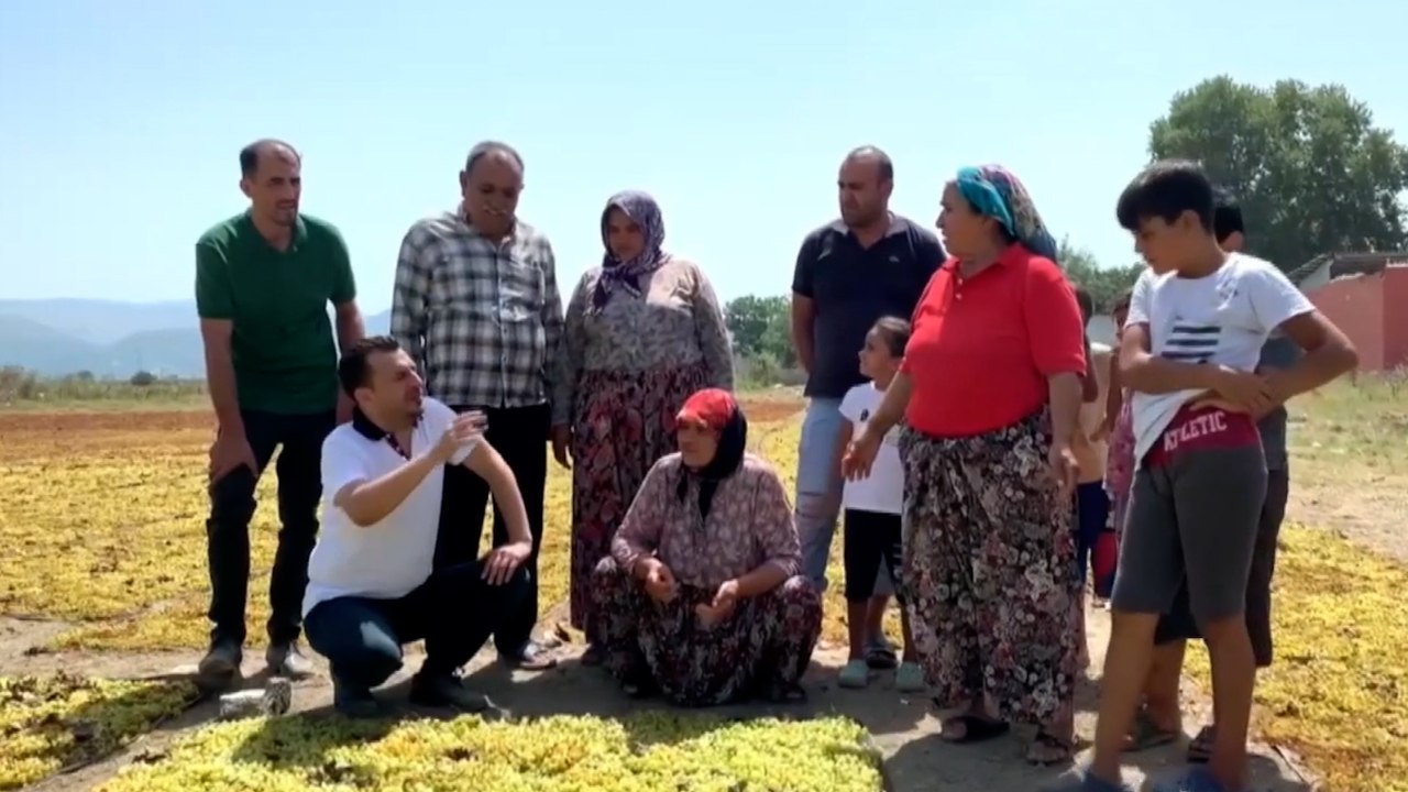 Üzüm taban fiyatından ne üretici ne de muhalefet memnun: Dağ fare doğurdu