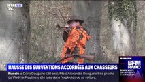 La hausse des subventions pour les chasseurs crée la polémique