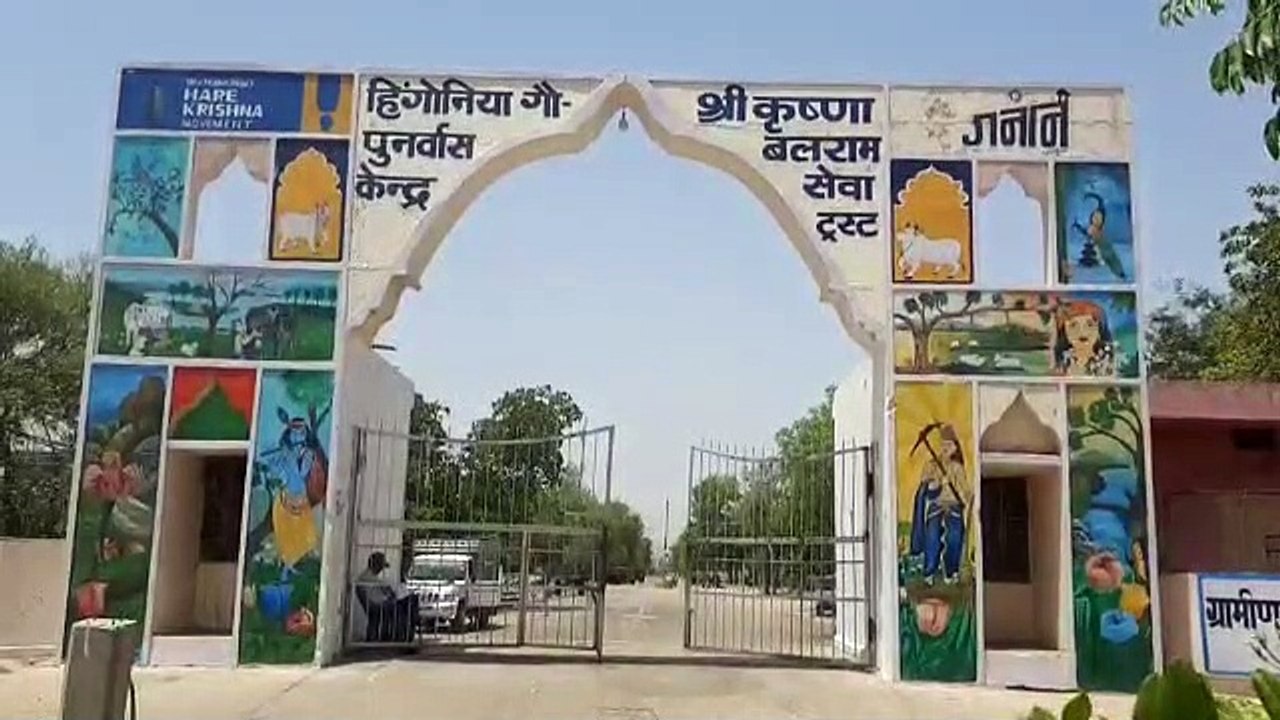Lumpy Virus- छह लाख से अधिक पशुधन संक्रमित, 259...