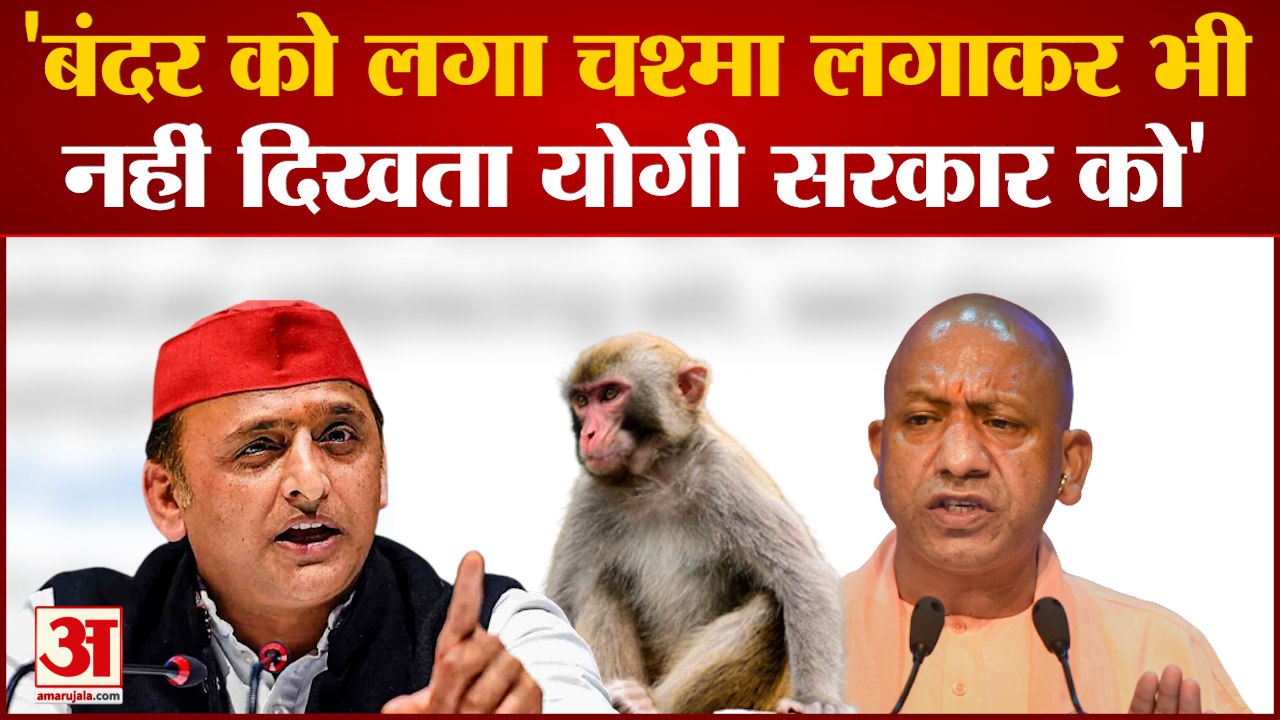 Mathura News: 'बंदर को लगा चश्मा लगाकर भी नहीं दिखता योगी सरकार को' | Up News