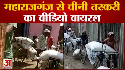 UP News: महराजगंज से चीनी तस्करी का वीडियो वायरल | Maharajganj