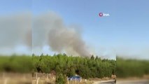 Manisa haber: Manisa'da orman yangını çıktı