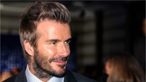 VOICI - David Beckham apiculteur : la reconversion insolite du sportif amuse les internautes