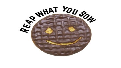 Reap what you sow teaser