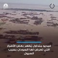 مجلس الوزراء في السودان أعلن حالة الإستنفار و الطوارئ بشأن كوارث السيول والأضرار التي طالت 6 ولايات في البلاد - - وزير الري والموارد المائية السو