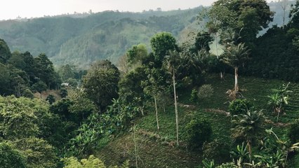 “Nos decían que nos iban a picar”: hombre que fue secuestrado en Buenaventura