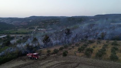 Son dakika haberleri! Kula'da ormanlık alanda çıkan yangın kontrol altına alındı