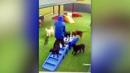 35 UNEXPECTED MOMENTS WHEN THINGS WENT WRONG