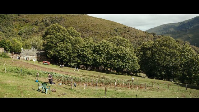 Nuevo tráiler de As bestas , dirigida por Rodrigo Sorogoyen y protagonizada por Luis Zahera. Estreno en cines el 11 de noviembre.