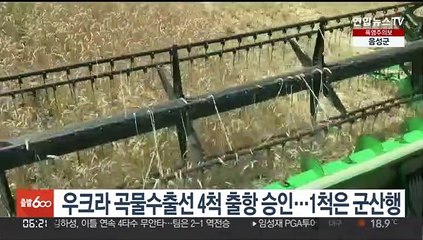 우크라 곡물수출선 4척 출항 승인…1척은 군산행